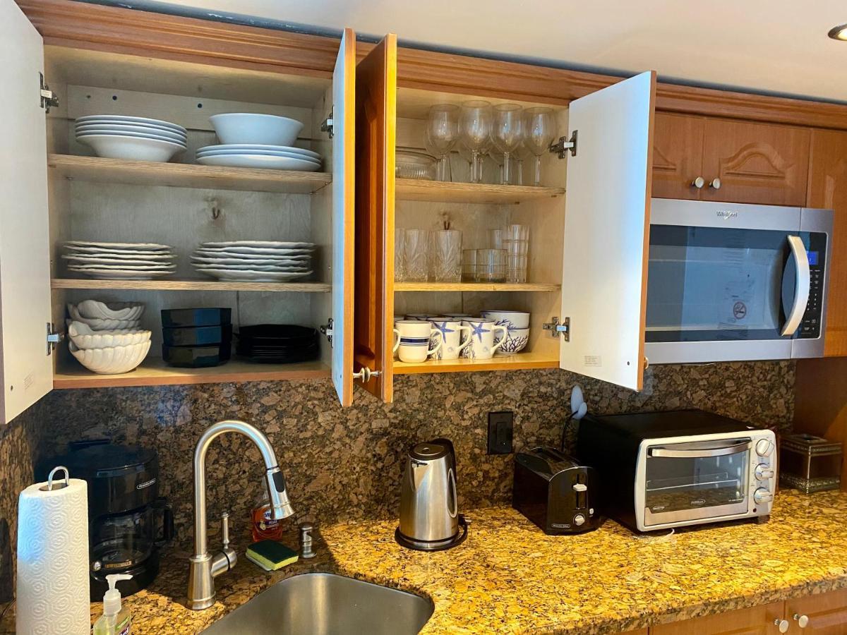 Large Luxurious Direct Ocean Front Penthouse Or Deluxe One Bedroom Ocean Front Condo-free Parking Appartement